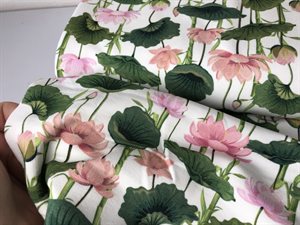 Let isoli - med de smukkeste lotus blomster